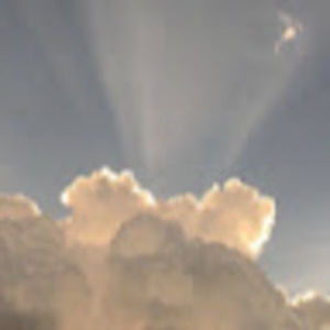 Meet your Posher, Jane